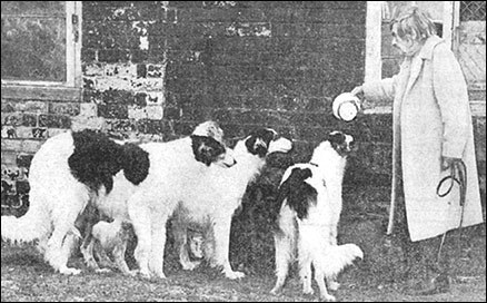 Photograph of Mrs Harpur and her dogs