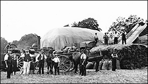 An early 1920s harvest scene at Bungalow Farm, Station Road