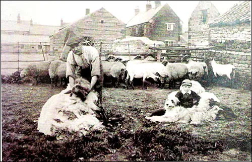 Burton Latimer - Washpit Farm Hull 69 1