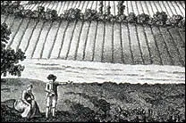 Common Land