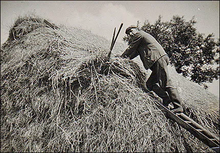 Burton Latimer - Haystack - Farrow